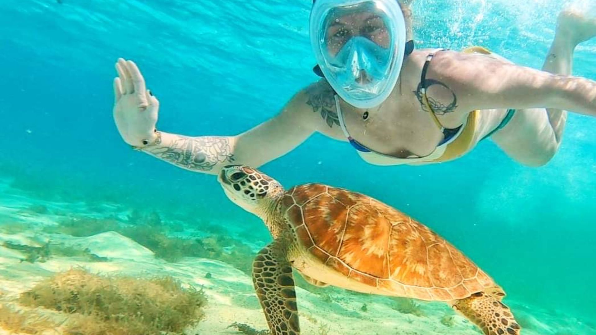 Petite Terre Petite Terre