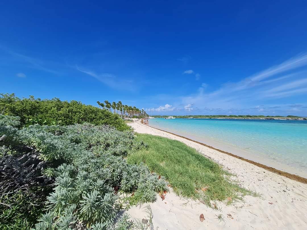 Petite Terre Petite Terre