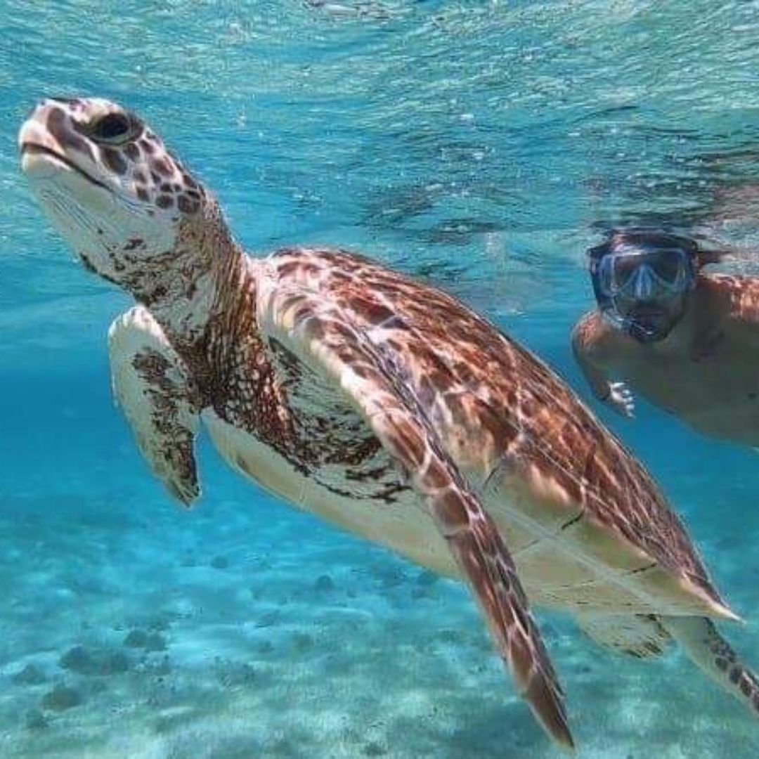 Petite Terre Petite Terre